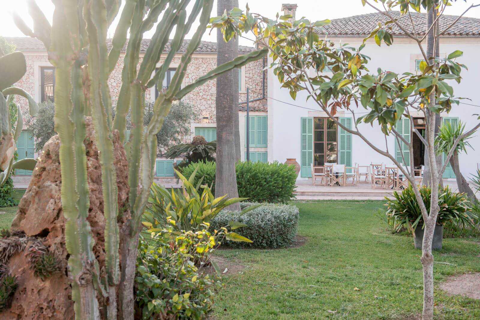 Mediterraner Garten vor dem Haus