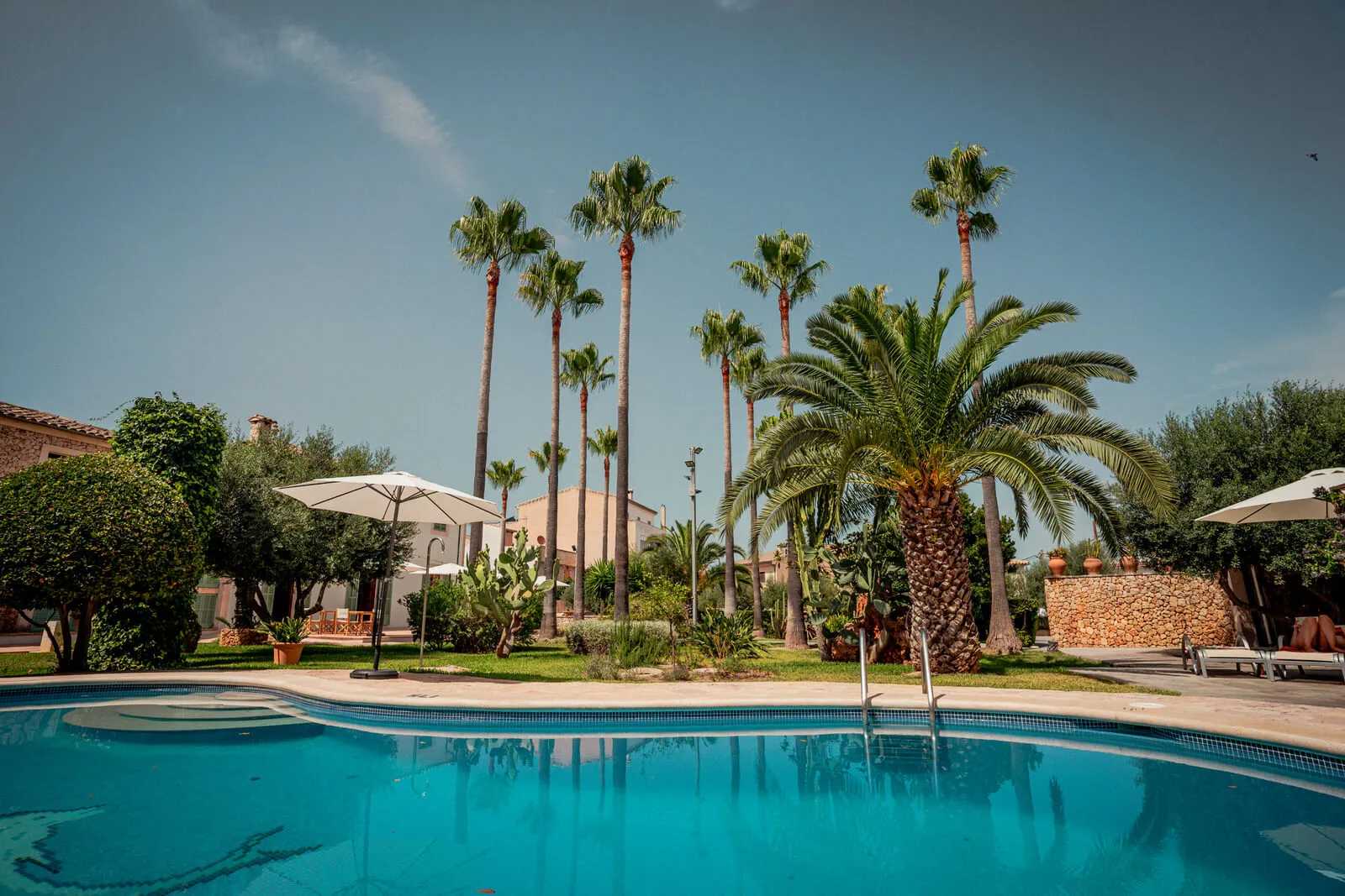 Pool des Curolla, umgeben von Palmen